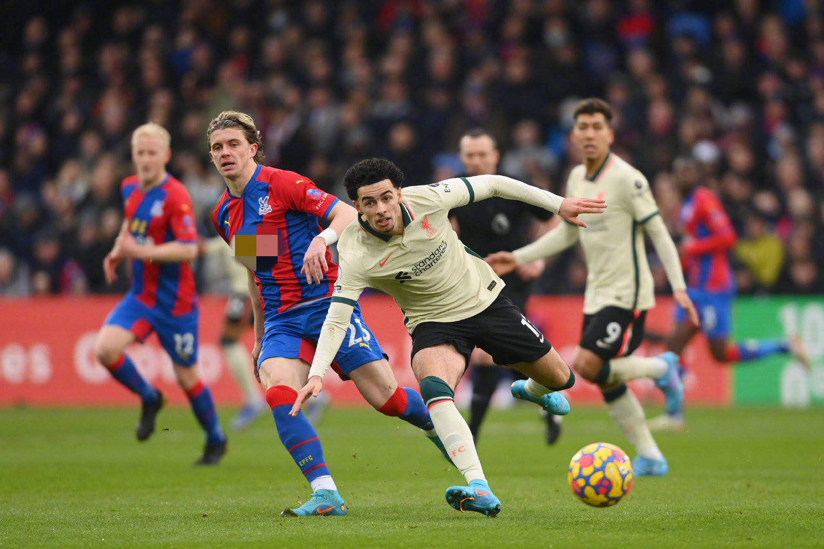 队即将齐聚 队即将齐聚